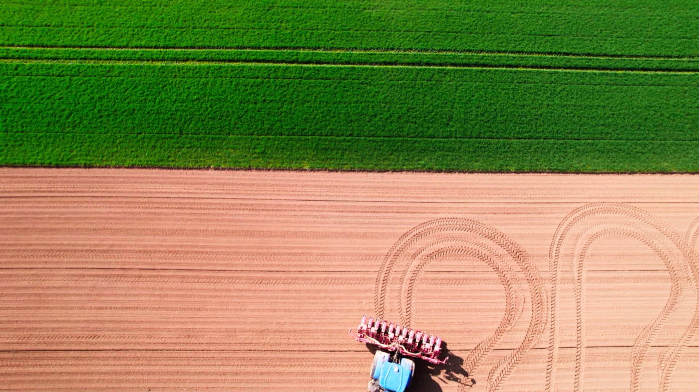 Image du film · vue aérienne, le semoir dessine ses lignes entre blé vert et terre ocre