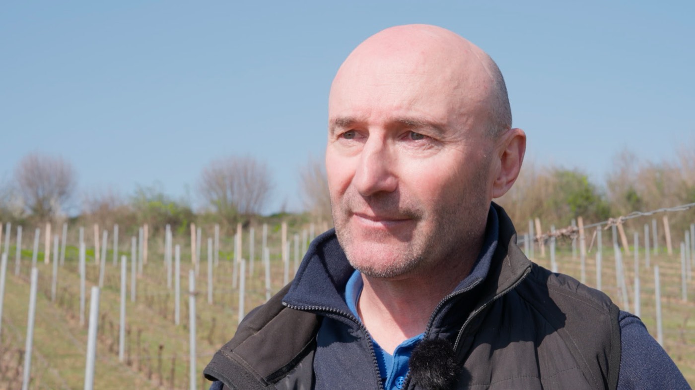 Image du film · un viticulteur dans les jeunes vignes